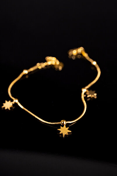 Zalifra نموذج بولار ستار سوار فولاذي أنيق وأنيق باللون الذهبي