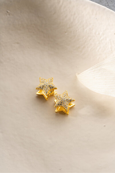 Silvano Jewelry 925 Ayar Gümüş Taşlı Yıldız Küpe