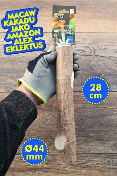 Vixpet Venty 28 cm Natural Parrot Perch - Thick Perch |   Macaw Cockatoo Jako Amazon Eletus - T428