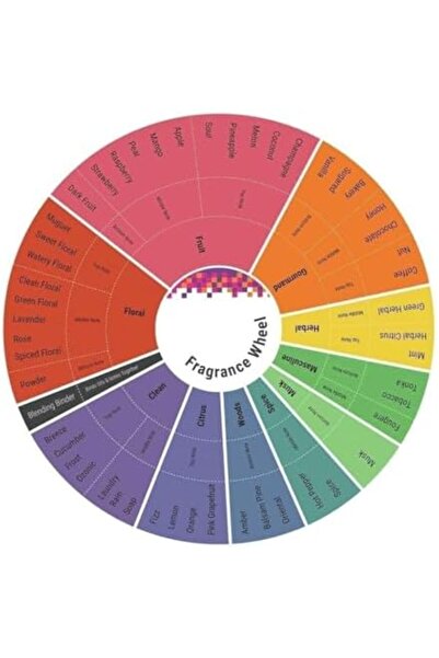 Ajmal Neutron Eau de Parfum for Men 100ml - Ajmal