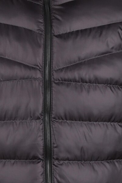 Cazador ΜΠΟΥΦΑΝ ΚΑΤΑΤΑΞΗΣ ΚΑΤΑΤΑΞΗΣ 1039