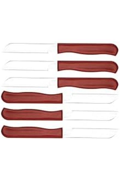 ALSAIF Stainless Steel Fruit Cutting Knives Set By Al Saif, Lightweight Design, Easy To Clean, Comfortable