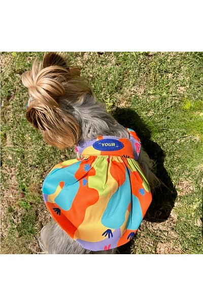 Proxy Paws Colorful Dog Dress with Crinoline