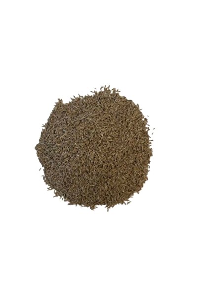 Western 6'li Karışım Ithal Çim Tohumu 2 Kg