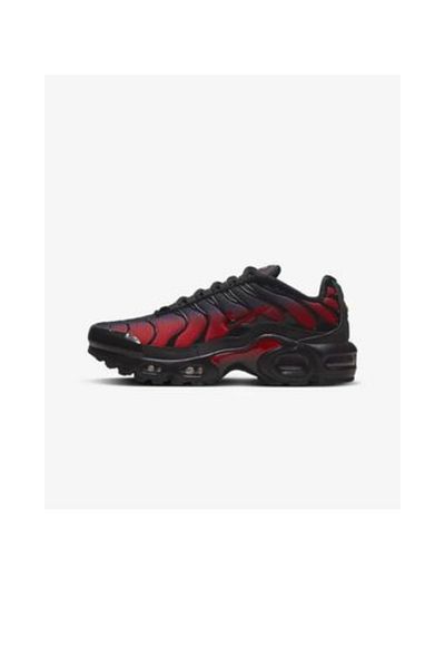 Nike Air Max Plus 'Aquarius Sneakers Sports Shoes