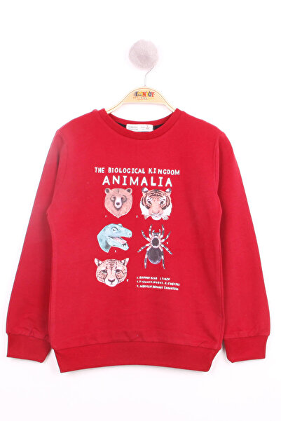 Toontoy Hanorac cu imprimeu animal pentru baieti