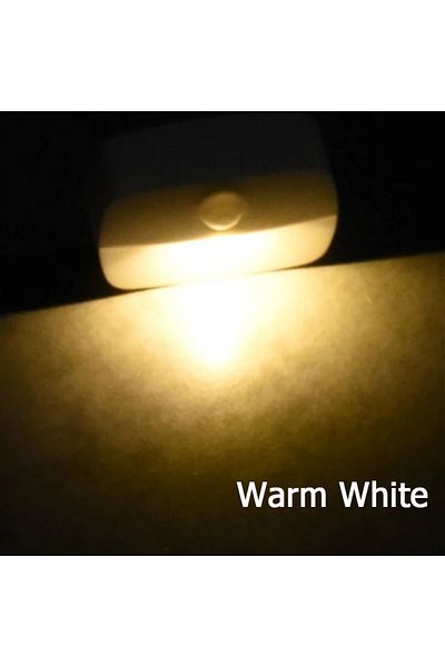 Brangdy EU Warm White LED Night Light EU Plug In Smart Motion Sensor Light 220V Wall Lamp for Home Aisle WC