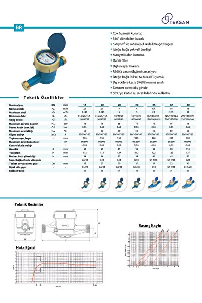 TEKSAN Dn 50 2 300 Mm Rekorlu Soğuk Su Sayacı (PRİNÇ GÖVDELİ) Pulse Çıkış (REKOR HARİÇ)