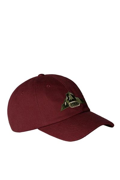 THE NORTH FACE NORM Шапка NF0A7WHOBQ61 Многоцветна-STD