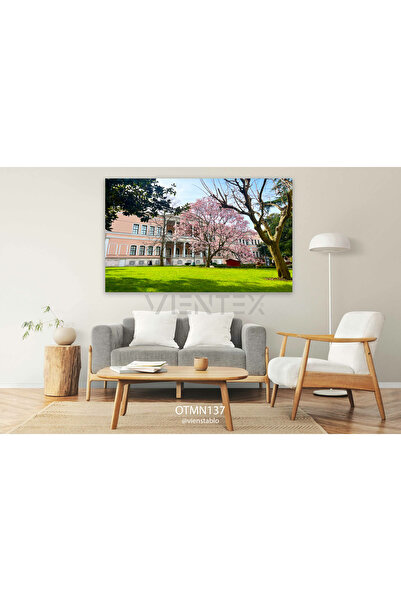 vientex İstanbul Şeker Ahmed Ali Paşa Çay Salonu Tablosu - OTMN137