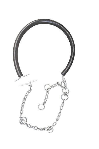 KASTAMONU BEYZADE YÖRESEL PAZARI Hortumlu büyükbaş hayvan Zinciri