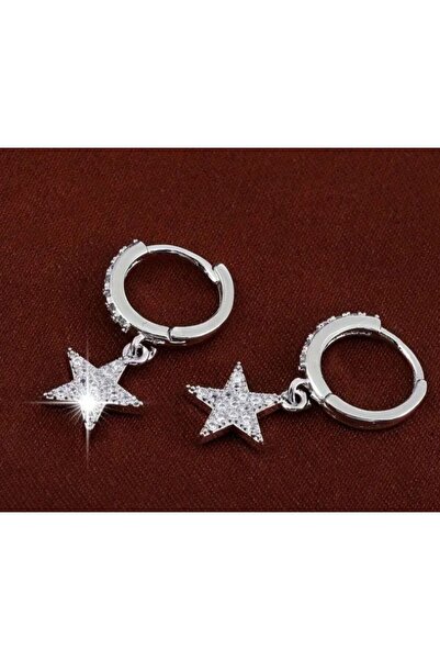 Dgt Luxury Zircon Detailed, Shimmering, Star Drop Earrings