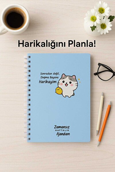 Ozzy ZAMANSIZ KONUŞAN AJANDA STICKERLI 17x24 SPİRALLİ SERT KAPAK