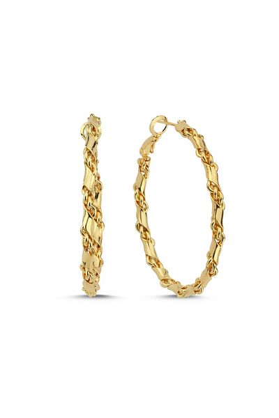 CHARMLUCKY Special Series Twisted Hook Earrings