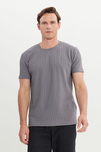 AC&Co / Altınyıldız Classics Ανδρικό μπλουζάκι σε γκρι Slim Fit Slim Fit Crew Neck Stretchy T-shirt