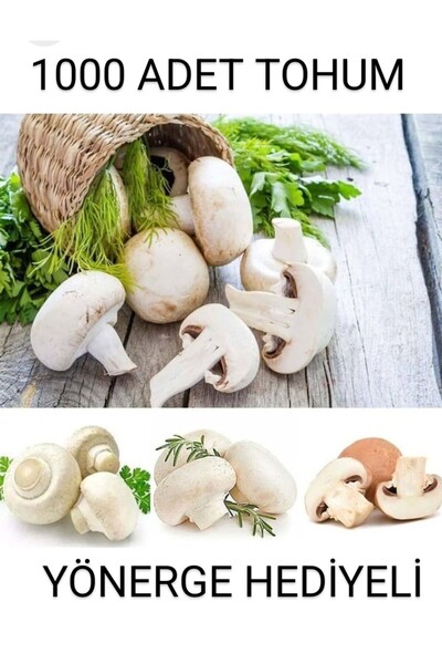 Tarımsal ve Hayvansal Ürünler 1000 Adet Beyaz Şapkalı Mantar Tohumu