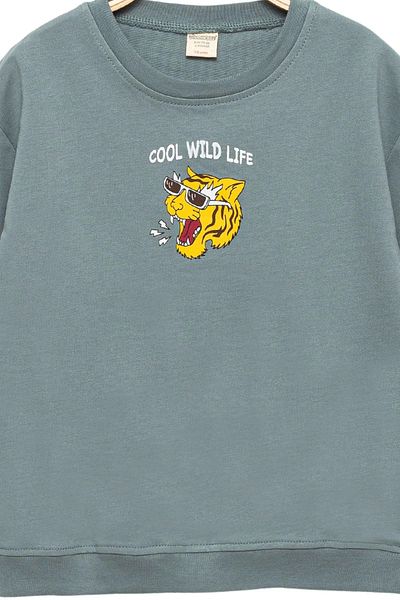 Divonette Boy's Cotton Printed Green Sweatshirt - Comfortable and Cool