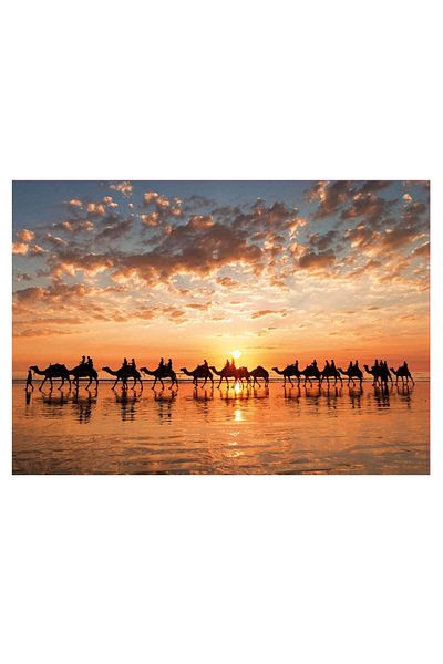 EDUCA Atardecer En Cab 1000 Piece Puzzle