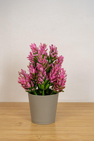 Digithome Dekoratif Küçük Saksılı Yapay Lavanta Çiçeği Pembe 18cm EVA-5824 C1-1-423