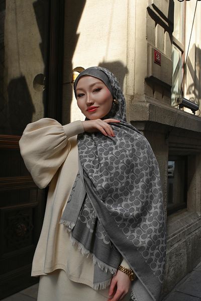 Pull Scarfs Imported Wool Silk C Pattern Shawl - Smoked