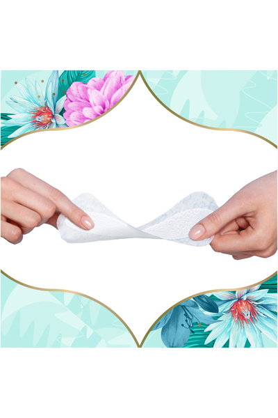 Discreet Deo Spring Breeze Daily Absorbents, 100 pieces