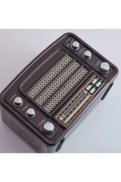 Denx راديو هاي فاي، مشغل FM/AM، USB/TF/BT، بطارية قابلة لإعادة الشحن DX2438