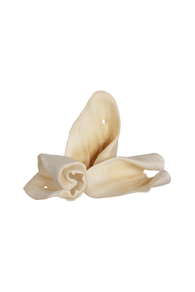 Redbarn Cow Ears Dog Treat - 5pcs