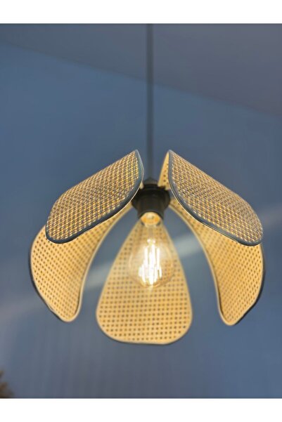 Maison Avf Hazeran Papatya Model Avize