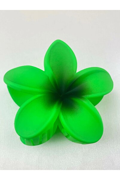 TakıDolabı مشبك اللوتس