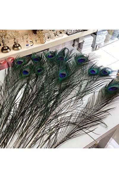 Gold home design Gerçek Tavus Kuşu Tüyü 70 cm 10 Adet