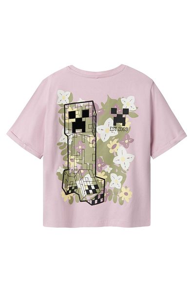 name ıt NKFDIKI MINECRAFT SS NREG TOP BOX BIO