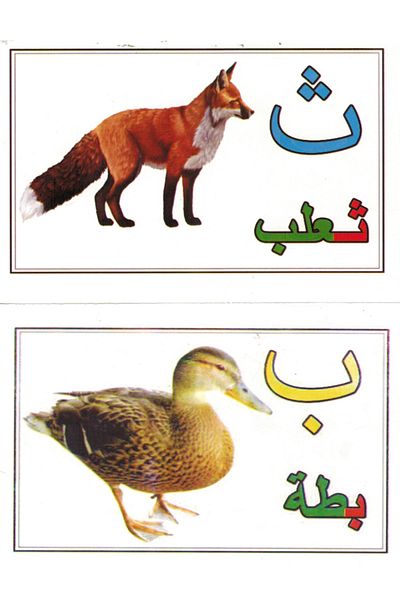 Educational Toys Arabic letters