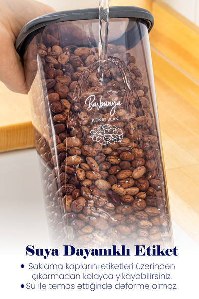 Vienev مجموعة كاملة مكونة من 36 قطعة من ملصقات الشاشة البيضاء Peggy Square Food and Spice 8x(1,75, 1,2, 0,55) 12x(0,45) Ant