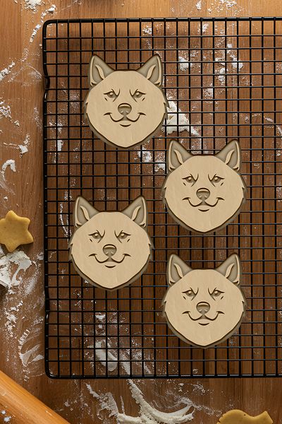 oalpo Crypto Wallet Cookie Mold, Dough Shaper, Biscuit Mold, Easy Cutting Tip