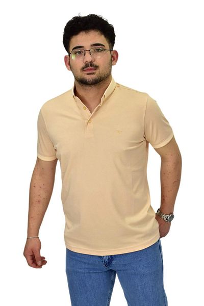 Raymons Men's Polo Neck Mercerized T-Shirt 1000 Bgl-St04532