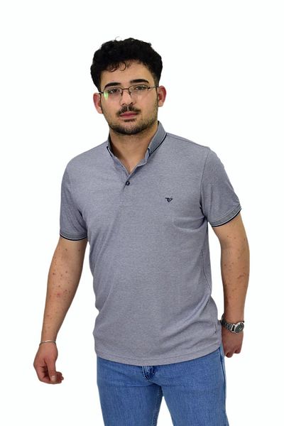 Raymons Ανδρικό μπλουζάκι Mercerized με γιακά πόλο 1000 BGL-ST04532