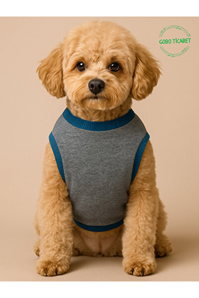 Gobo Gray Cat/Dog Outfit with Green Teddy Bear Accessory Xxlarge