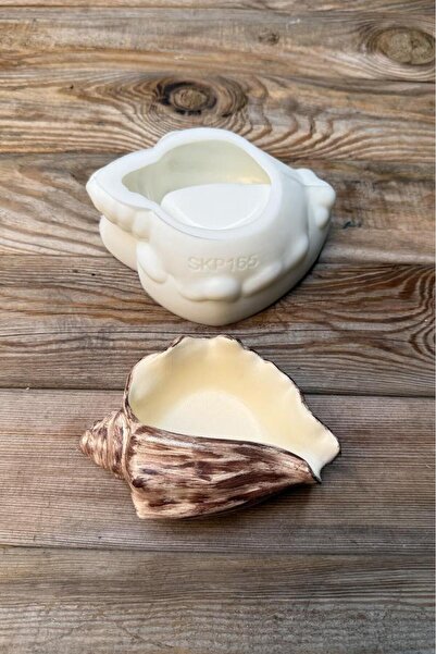 rufus concept DENİZ KABUĞU 1 Silikon Kap Kalıbı