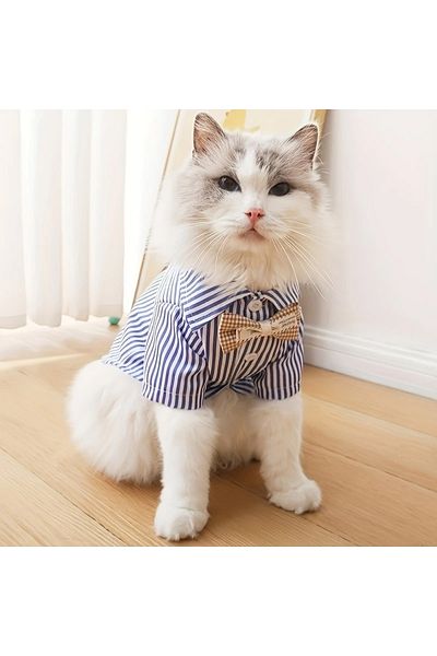 Lady Fify Cat and Dog Bow Tie and Striped Shirt