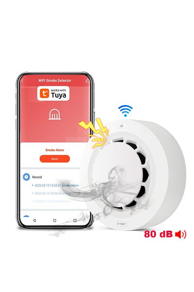 Choice WiFi Tuya WiFi Smoke Alarm Fire Protection Smoke Detector Smoke House Combination Fire Alarm Home Se