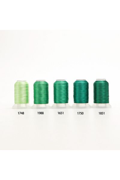 Choice 5A Green 80 Madeira Colors Set Premium Polyester Embroidery Thread 500M (550Y) Each Spool Brother Ba