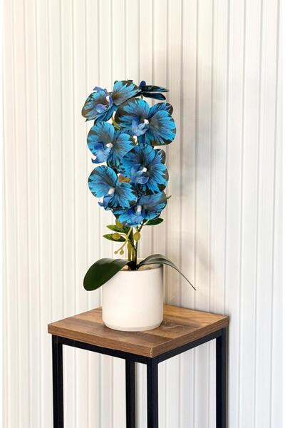 DARE EV YAŞAM BETON SAKSIDA YAPAY ORKİDE MAVİ 45 CM UZUNLUK