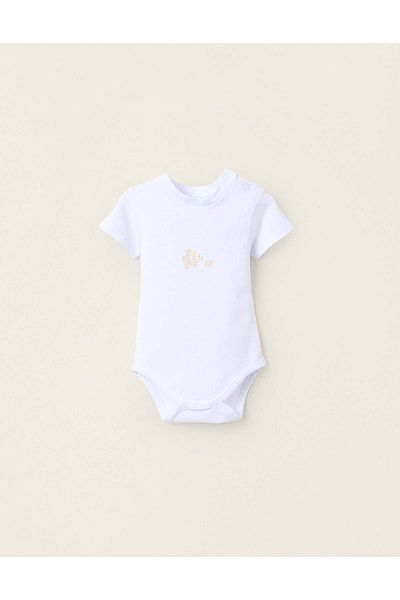 Ziddy Bodysuit with Print for Newborn Boys 'Nemo', White