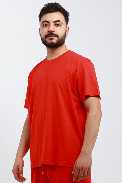 OXVİN Men's 100% Cotton Knitted Regular T-Shirt (Mold)