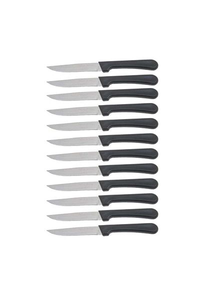 ALSAIF KITCHEN 12-piece stainless steel fruit and vegetable knife set with plastic handle, black