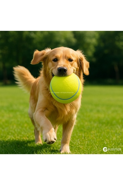 Busstier 14 cm Dev Köpek Tenis Topu Dayanıklı, Diş Dostu, Açık Alan Oyuncağı