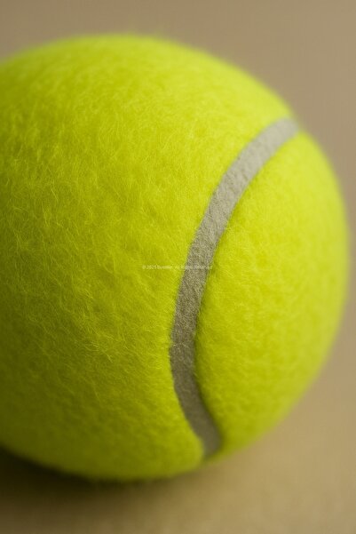 Busstier 2'li Köpek Tenis Topu 7.5 cm Orta Boy, Dayanıklı, Diş Dostu, Eğitim ve Oyun Oyuncağı