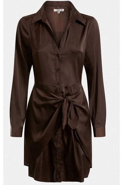 Guess GUESS ES LS ALYA DRESS women's dress brown