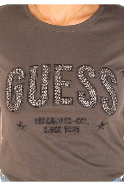 Guess GUESS SS CN MIRELA TEE women's t-shirt brown