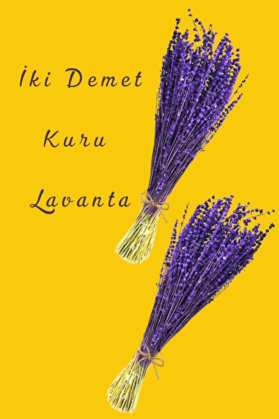 EL İŞİ DİY CRAFT Gerçek Lavanta Demeti Naturel, Doğal, Şoklanmış, Dökülmeyen,...